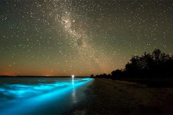 多尼岛星空 多尼岛星空